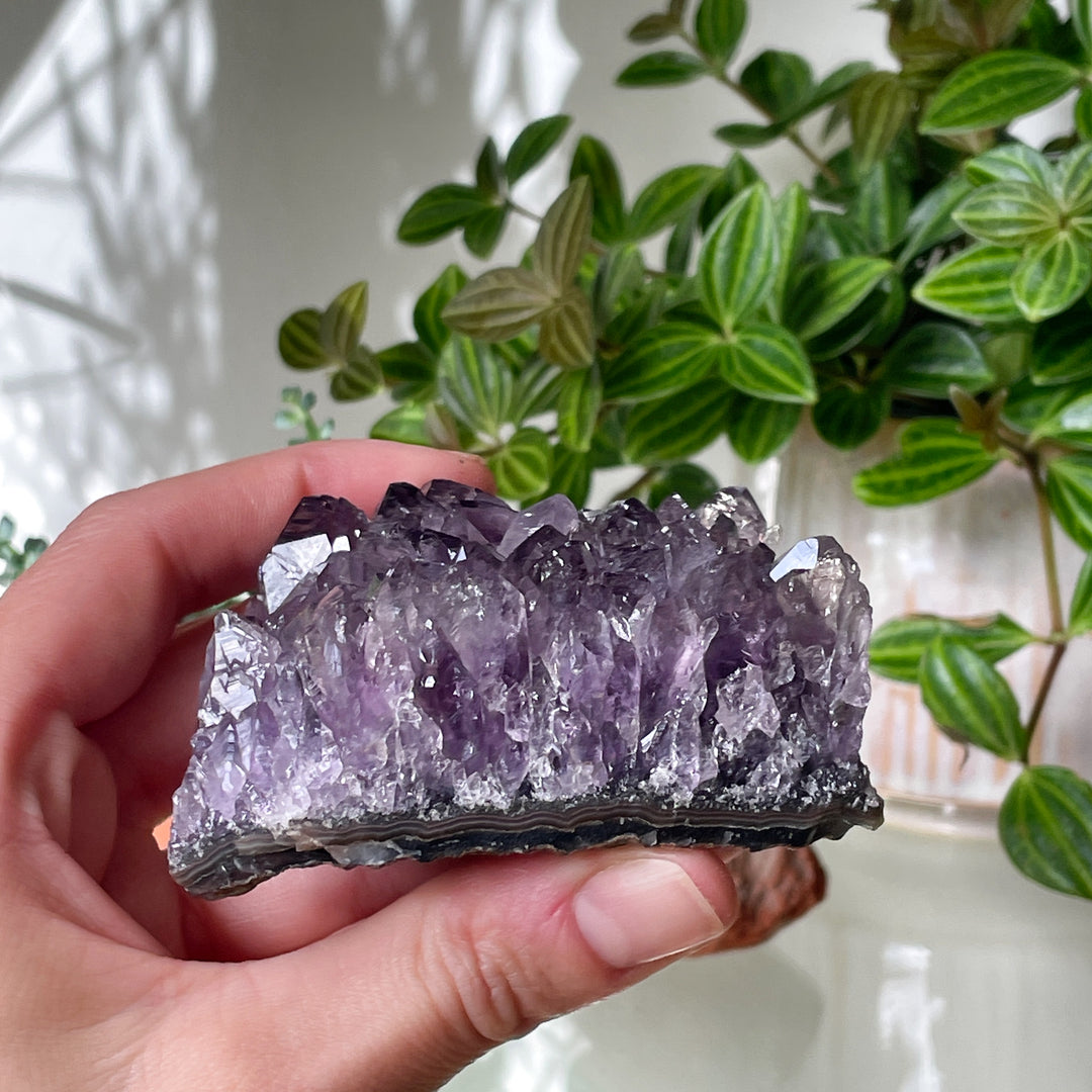 amethist geode paarse kristal edelsteen