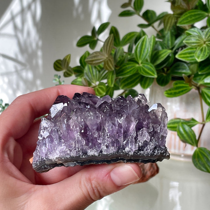 amethist geode paarse kristal edelsteen