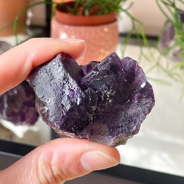 Fluoriet paarse ruwe cluster (L)