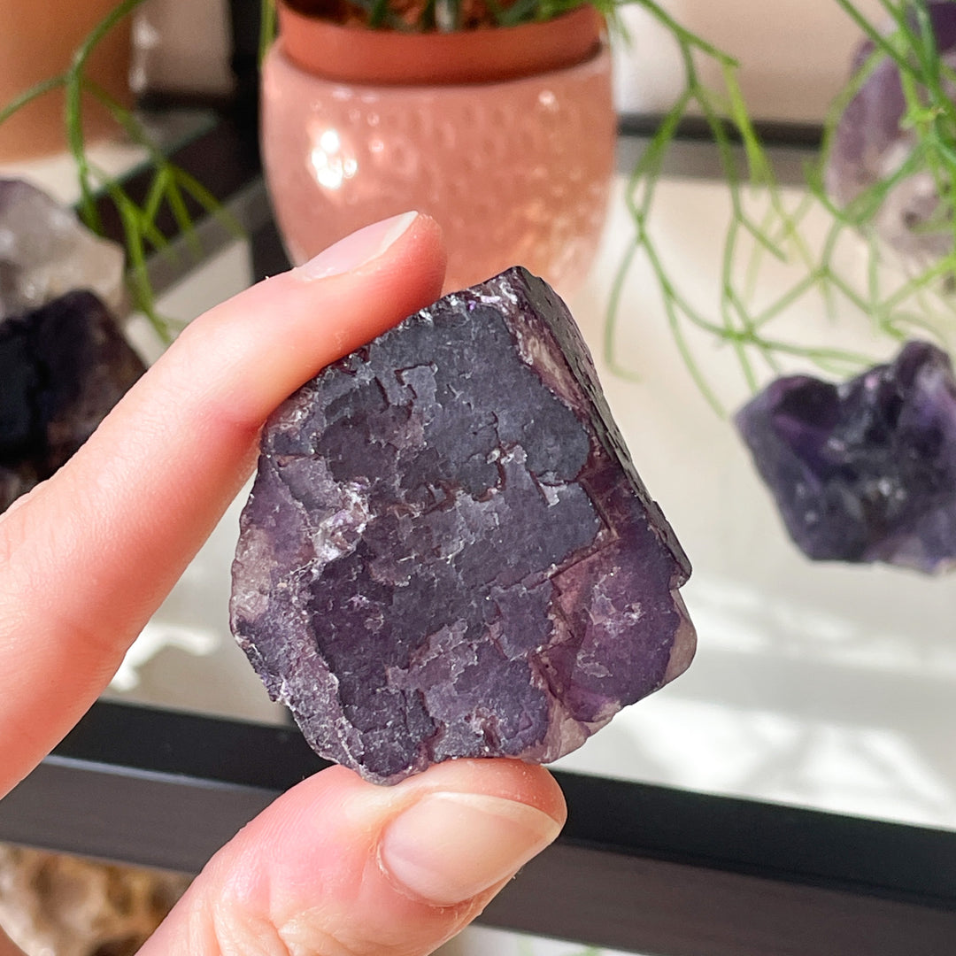 Fluoriet paarse ruwe cluster (L)