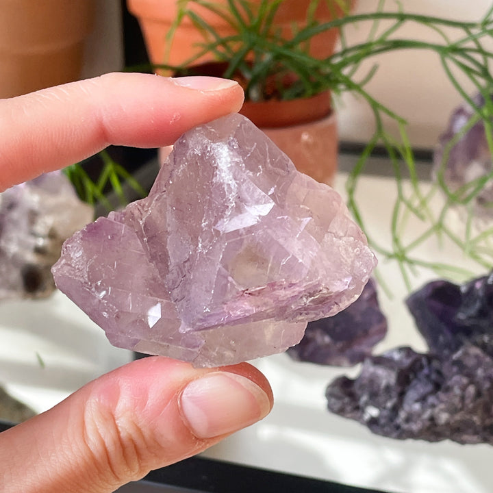 Fluoriet paarse ruwe cluster (L)