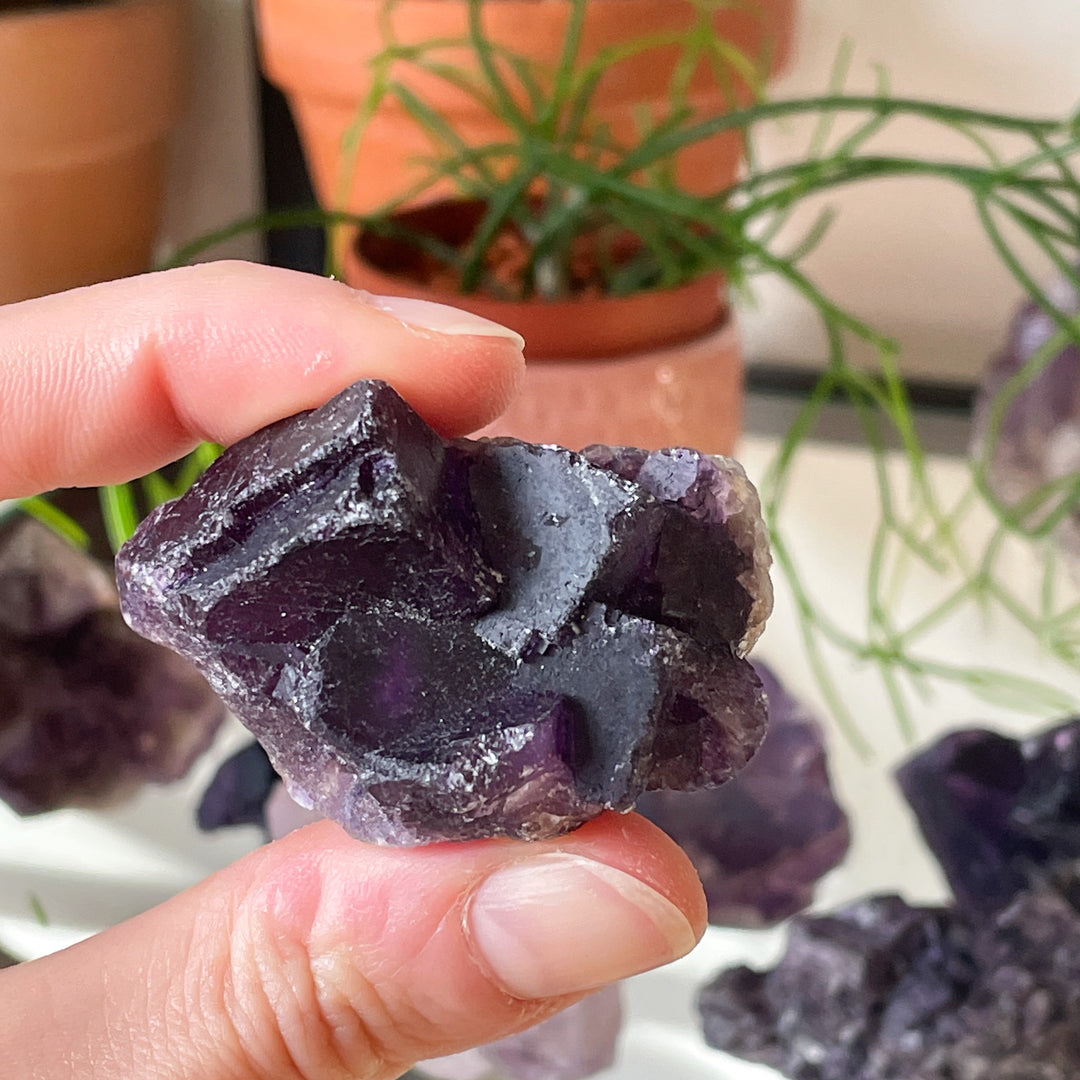 Fluoriet paarse ruwe cluster (L)