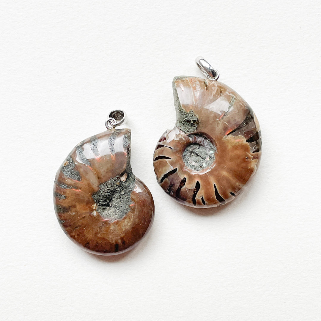 ammoniet schelp premium hanger 925 sterling zilver edelsteen sieraad juweel