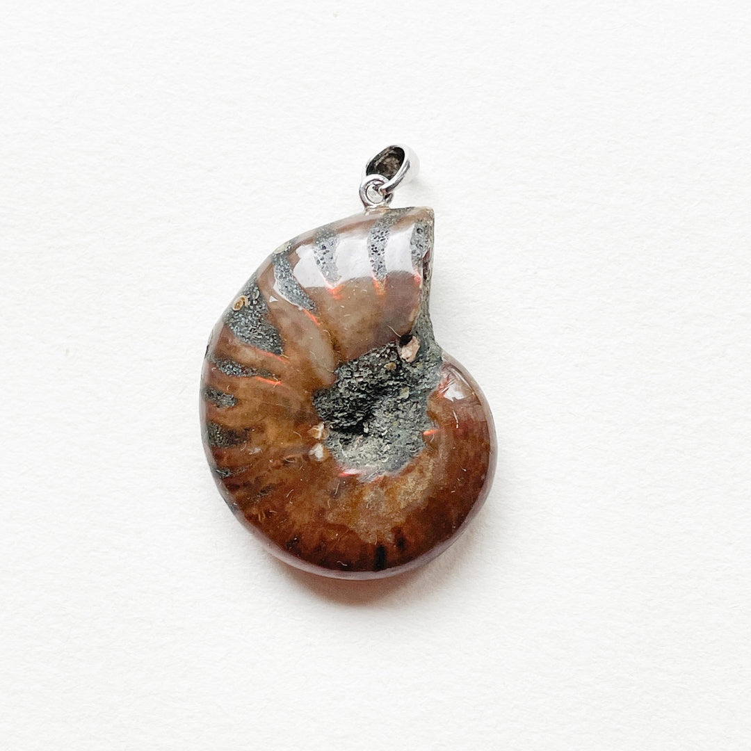 ammoniet schelp premium hanger 925 sterling zilver edelsteen sieraad juweel