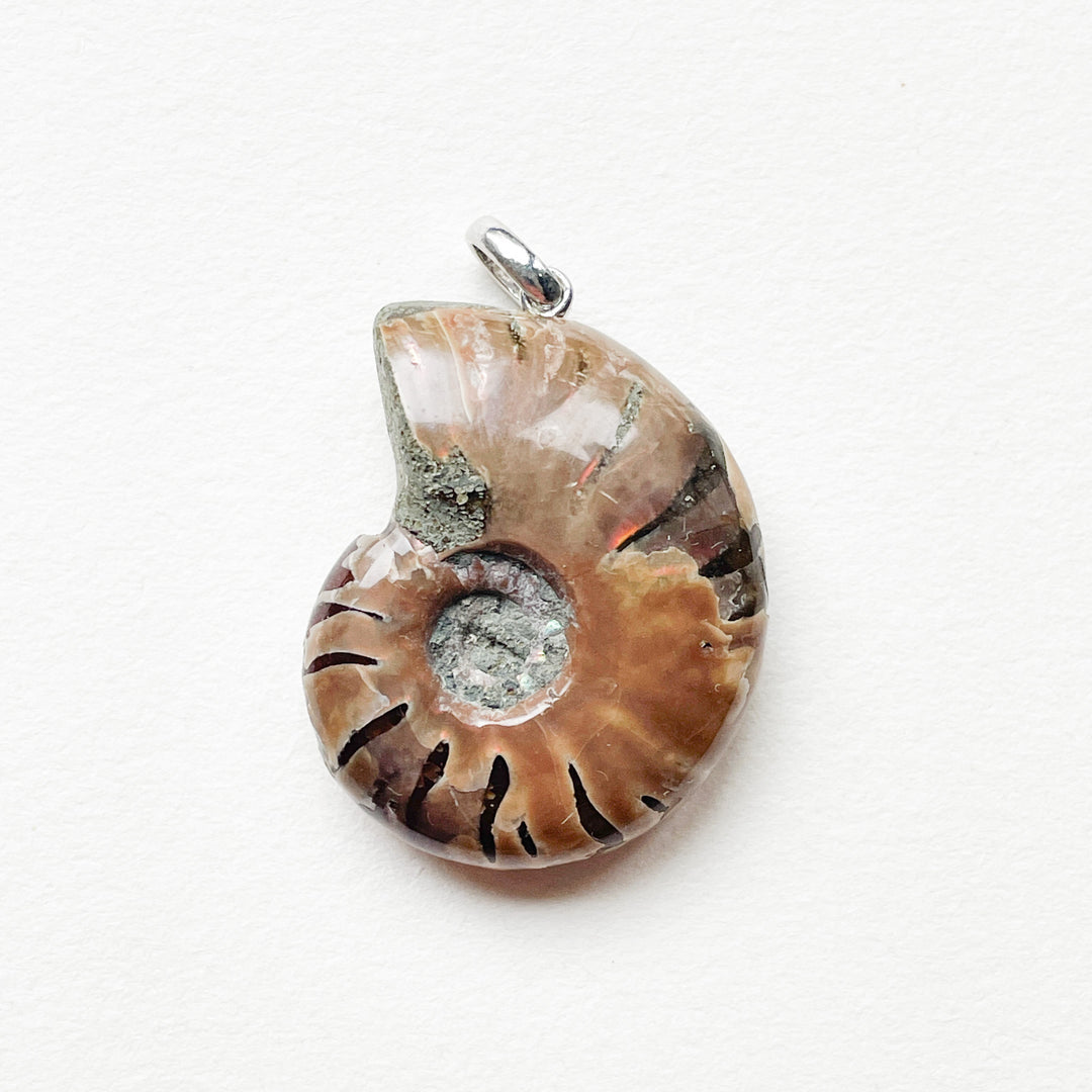 ammoniet schelp premium hanger 925 sterling zilver edelsteen sieraad juweel