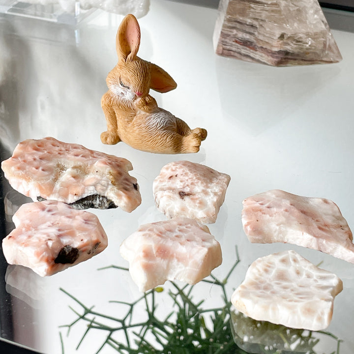 natroliet ruwe steen brok edelsteen roze