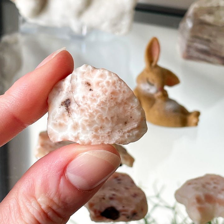 natroliet ruwe steen brok edelsteen roze