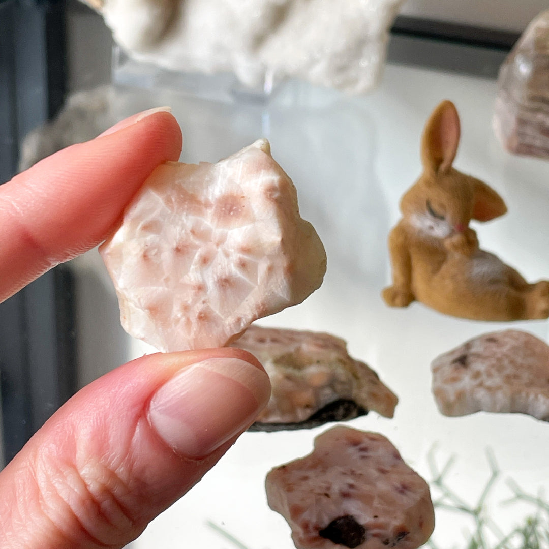 natroliet ruwe steen brok edelsteen roze