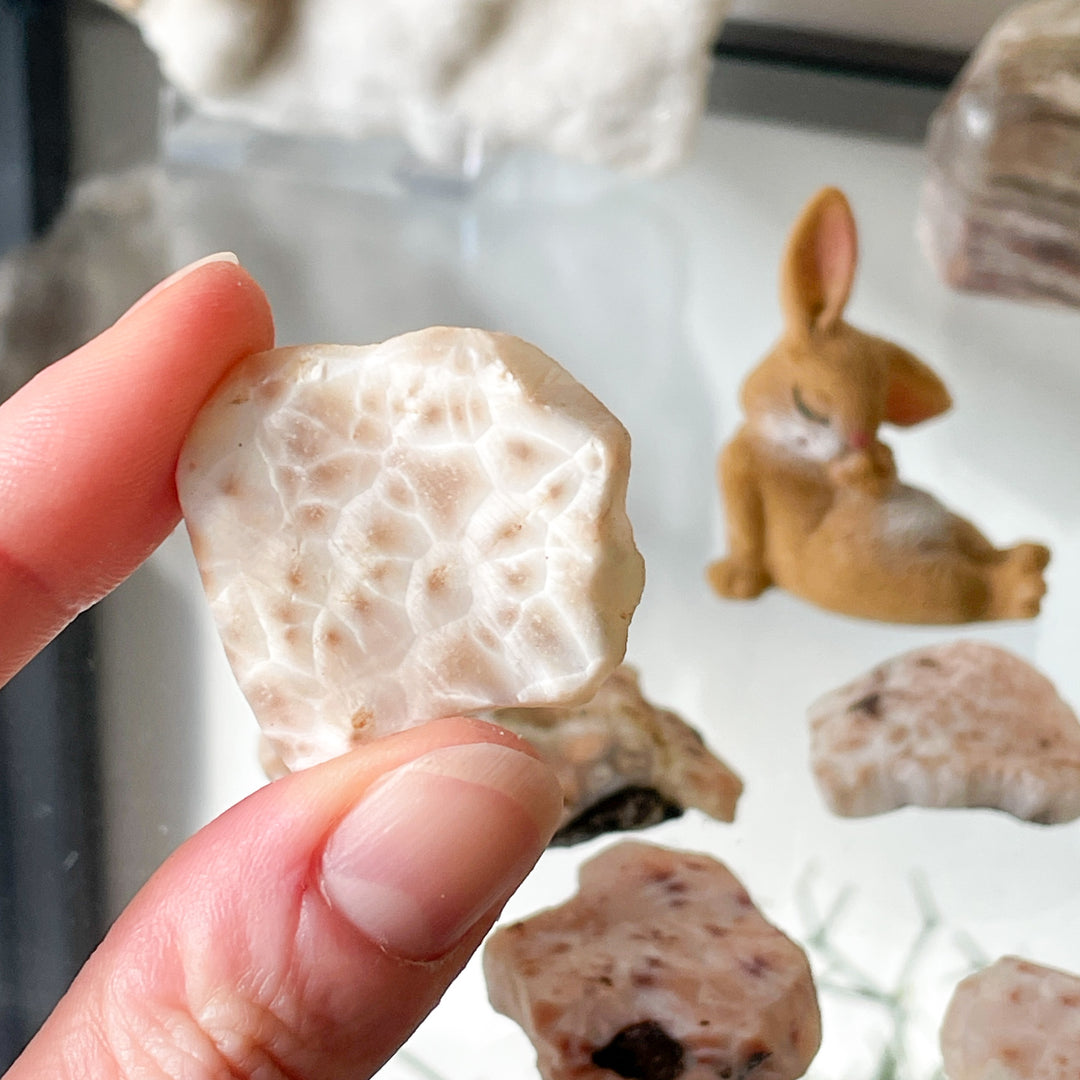 natroliet ruwe steen brok edelsteen roze