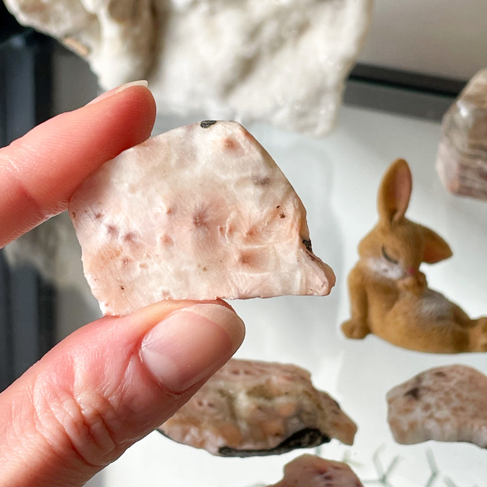 natroliet ruwe steen brok edelsteen roze