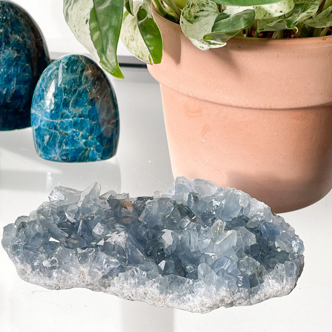 celestien blauwe ruwe brok steen edelsteen mineralen