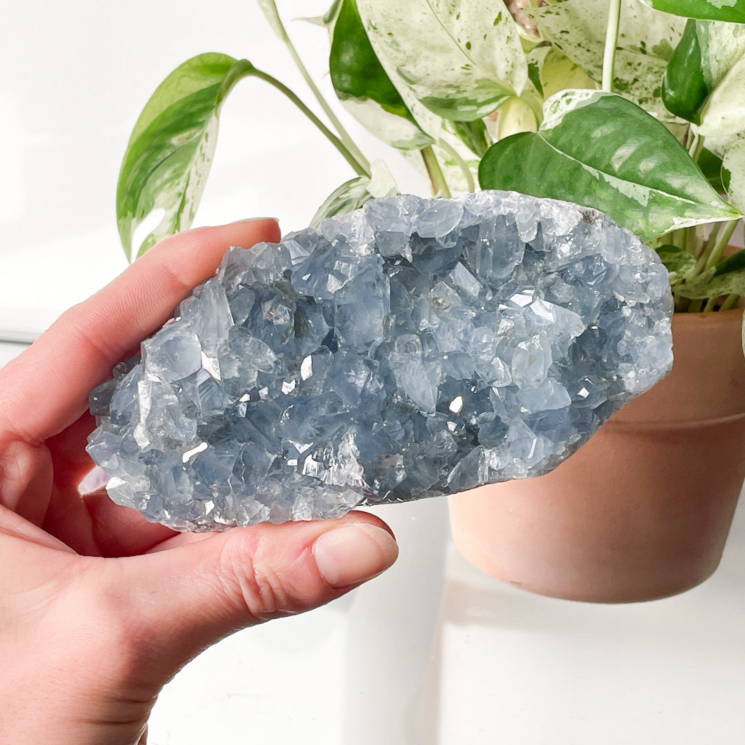 celestien blauwe ruwe brok steen edelsteen mineralen