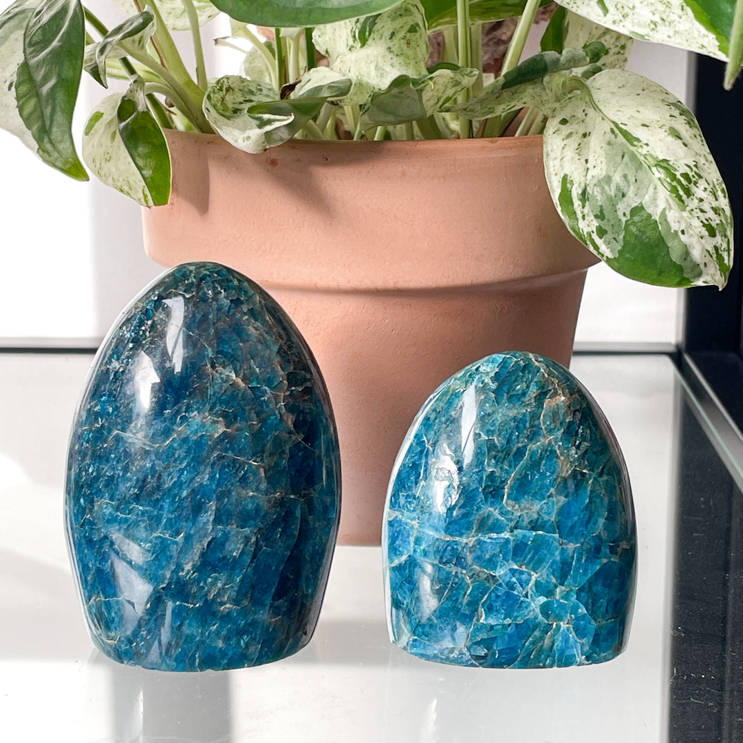 apatiet blauwe sculptuur gepolijste steen edelstenen mineralen