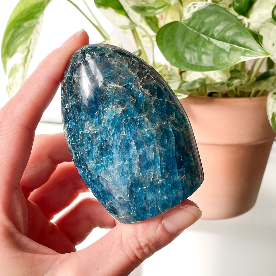 apatiet blauwe sculptuur gepolijste steen edelstenen mineralen