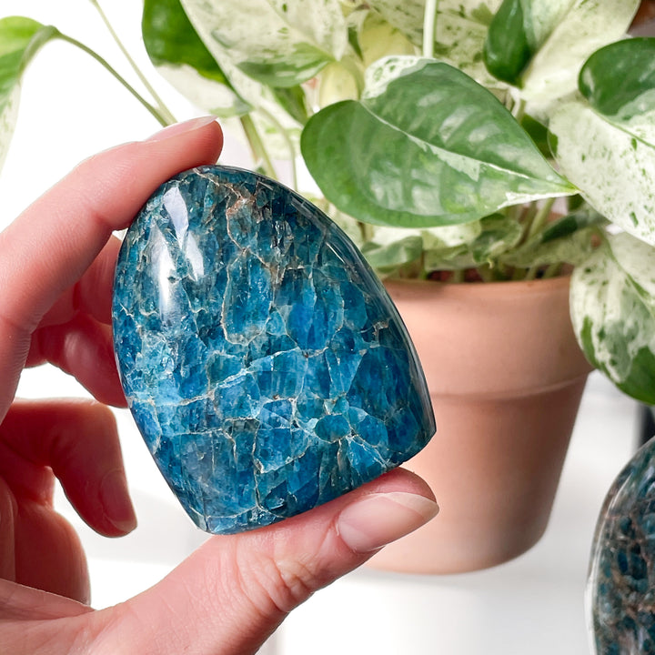 apatiet blauwe sculptuur gepolijste steen edelstenen mineralen