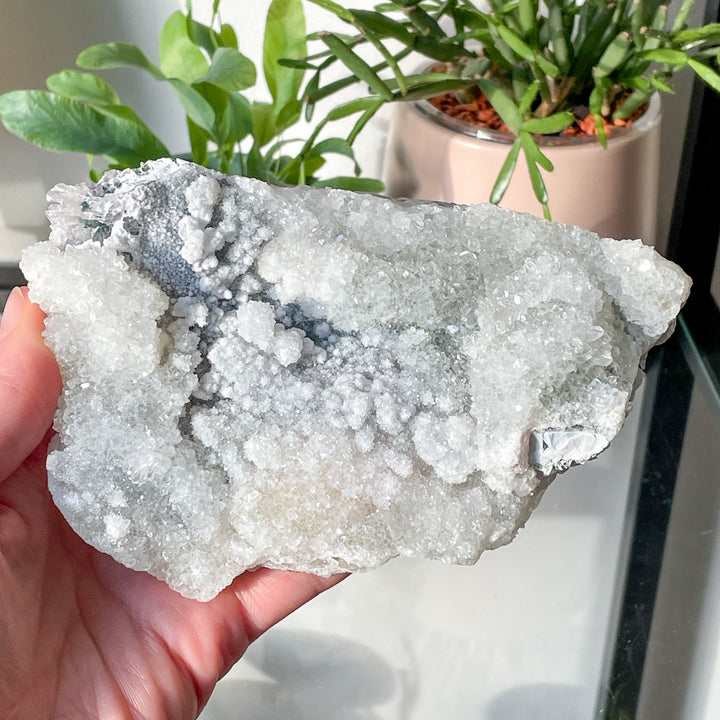 amethist flower cactus kwarts edelsteen mineraal