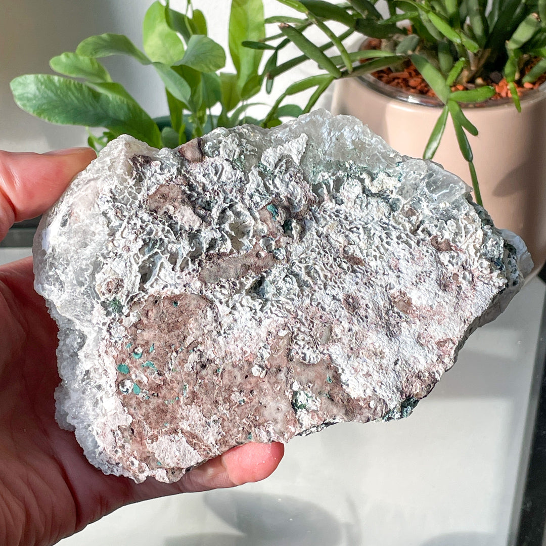 amethist flower cactus kwarts edelsteen mineraal