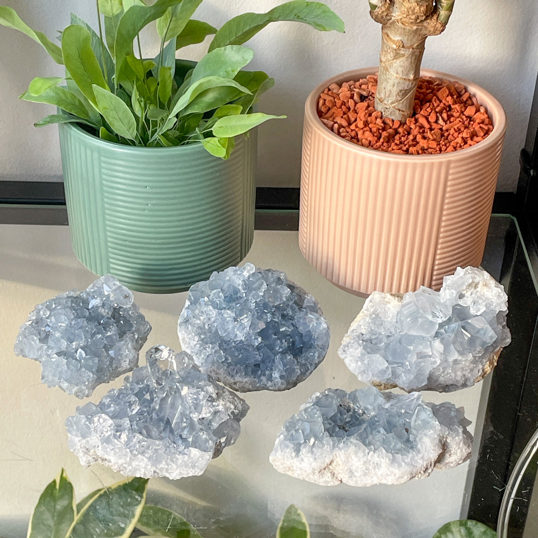 celestien blauwe cluster geode edelsteen mineraal kristal