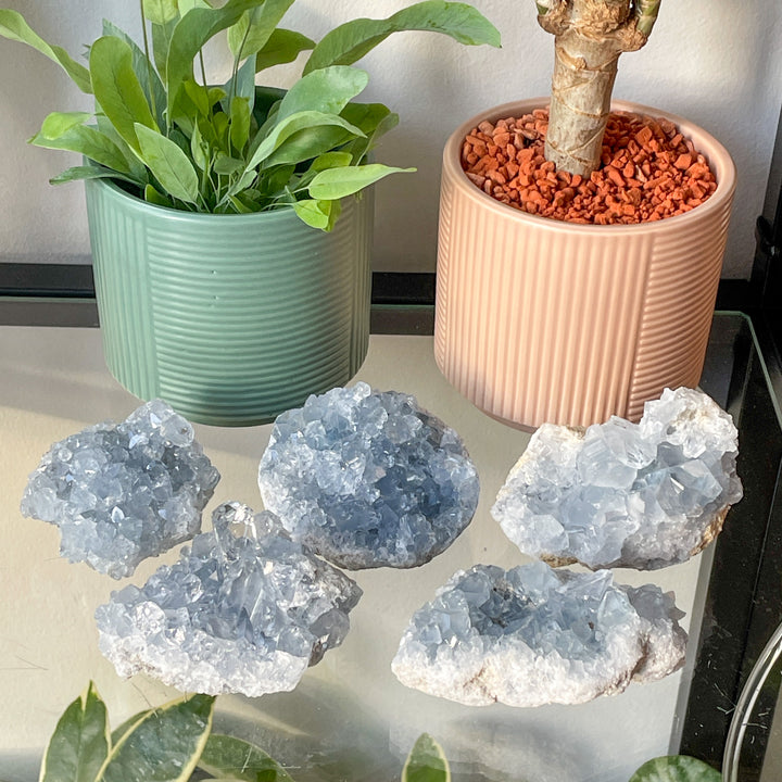 celestien blauwe cluster geode edelsteen mineraal kristal