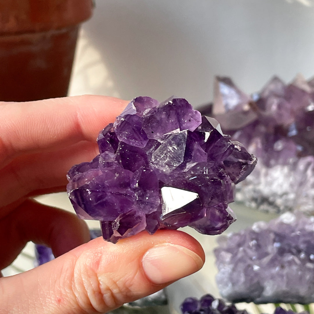 amethist paarse cluster ruwe steen brok mineralen edelsteen edelstenen