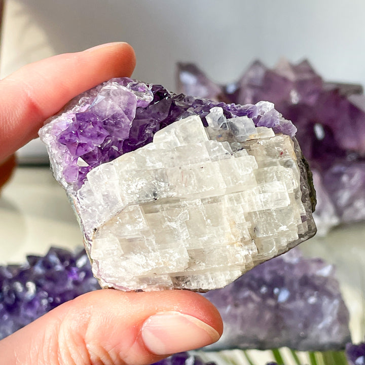 amethist paarse cluster ruwe steen brok mineralen edelsteen edelstenen