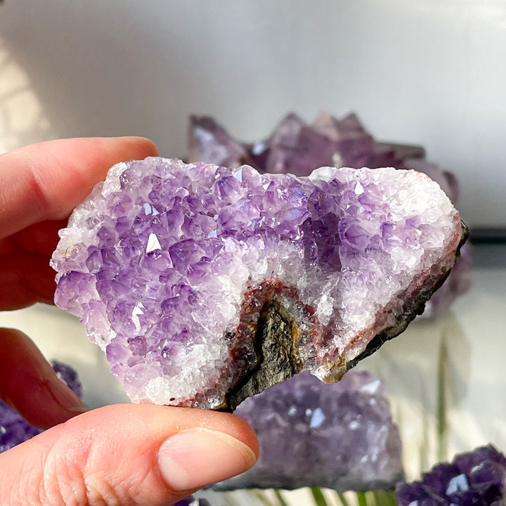 amethist paarse cluster ruwe steen brok mineralen edelsteen edelstenen