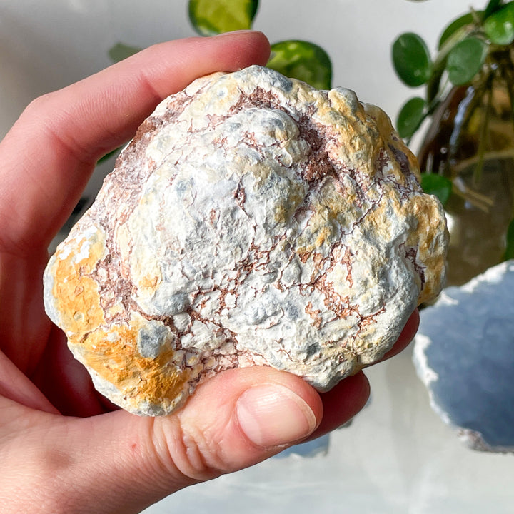 angeliet blauwe edelsteen mineraal geode bol