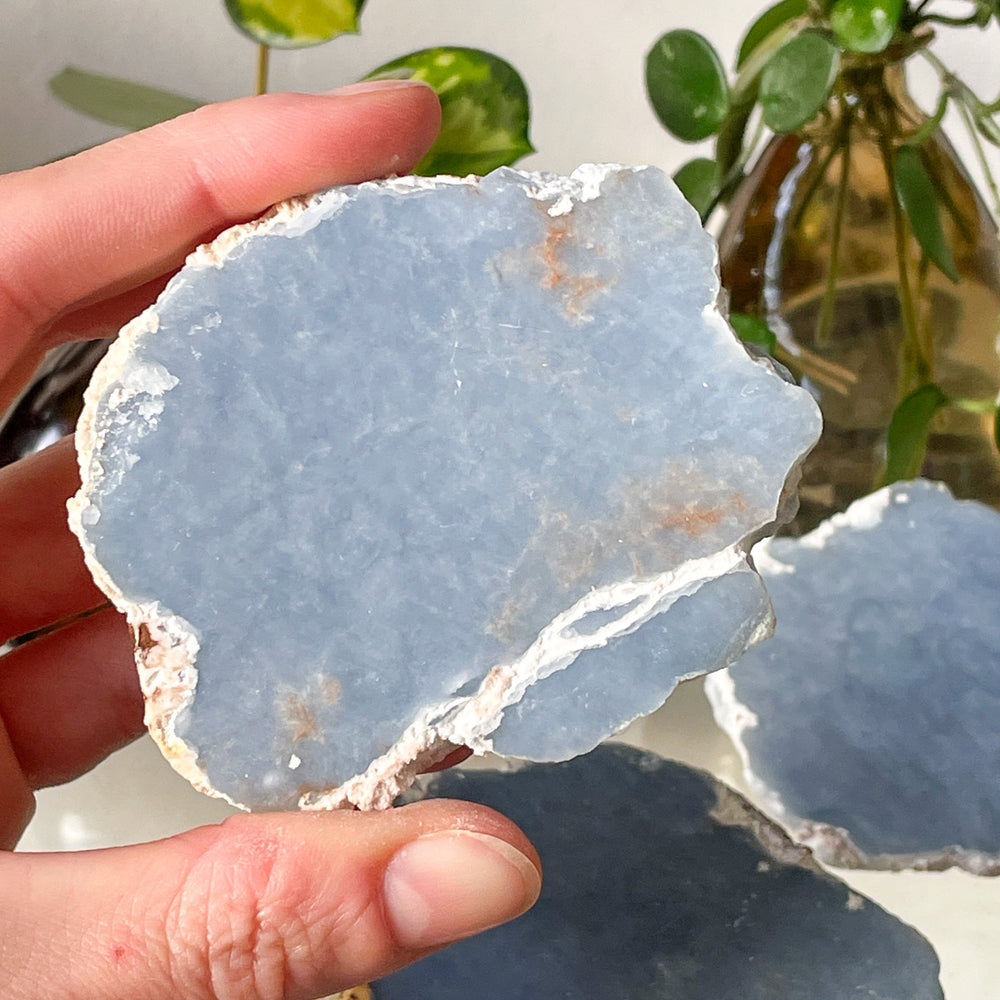 angeliet blauwe edelsteen mineraal geode bol