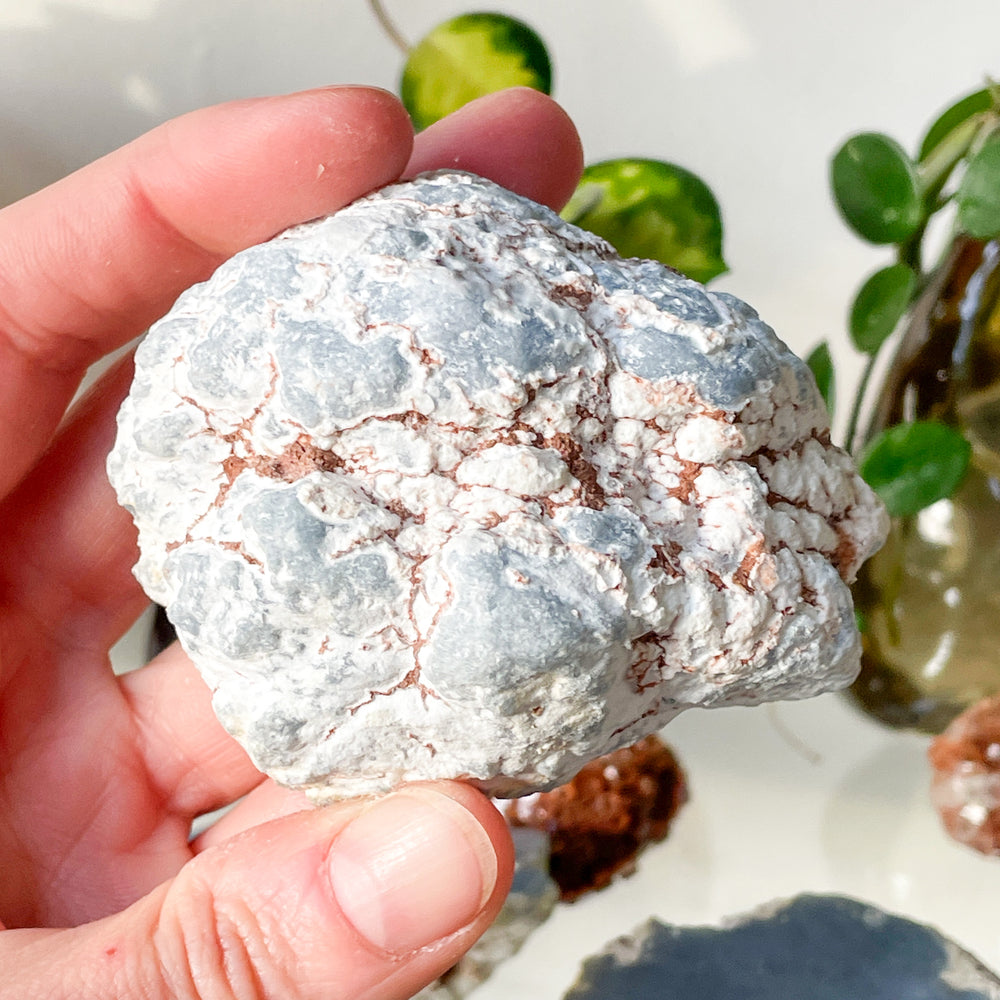 angeliet blauwe edelsteen mineraal geode bol
