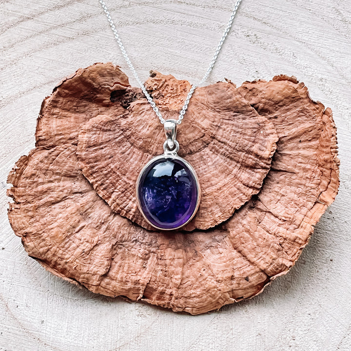 amethist paarse luxe hanger edelsteen sieraad 925 sterling zilver