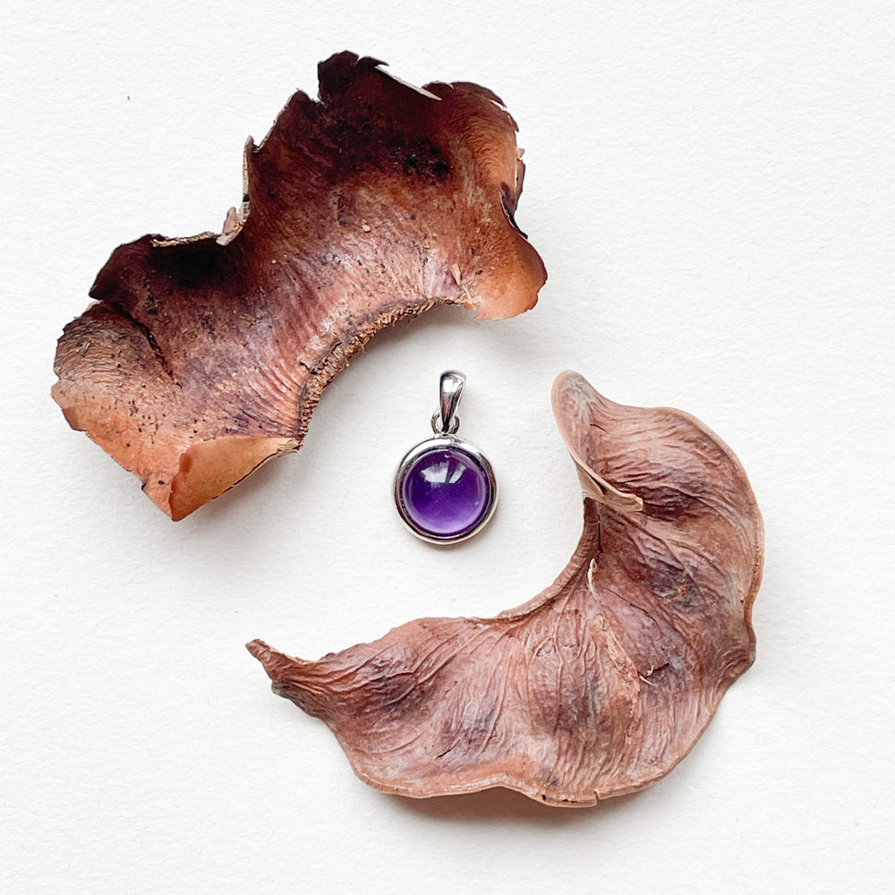 amethist mini luxe edelsteen hanger ketting zilver 925 sterling rhodium