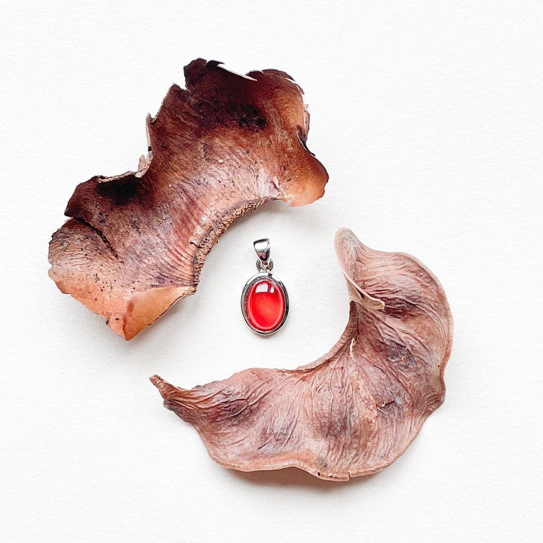 carneool mini luxe edelsteen hanger ketting zilver 925 sterling rhodium