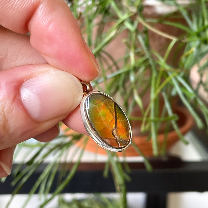 ammoliet ammoniet oranje luxe edelsteen hanger 925 sterling zilver