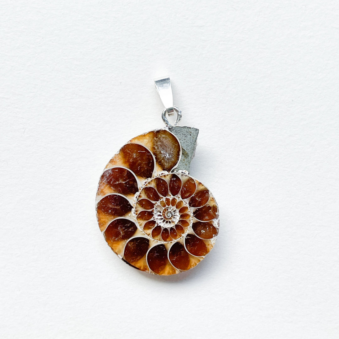 ammoniet edelsteen hanger edelsteenhanger juweel sieraad 925 sterling echt zilver