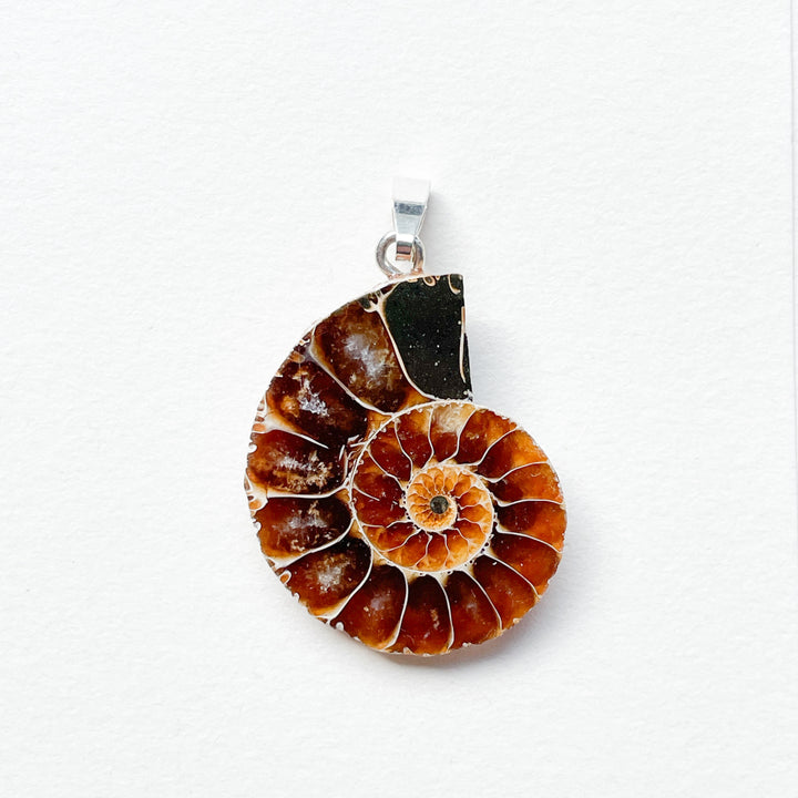 ammoniet edelsteen hanger edelsteenhanger juweel sieraad 925 sterling echt zilver