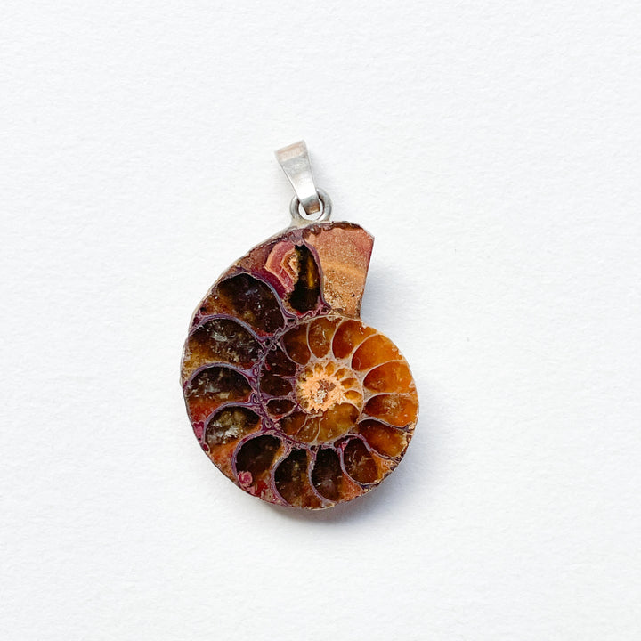 ammoniet edelsteen hanger edelsteenhanger juweel sieraad 925 sterling echt zilver