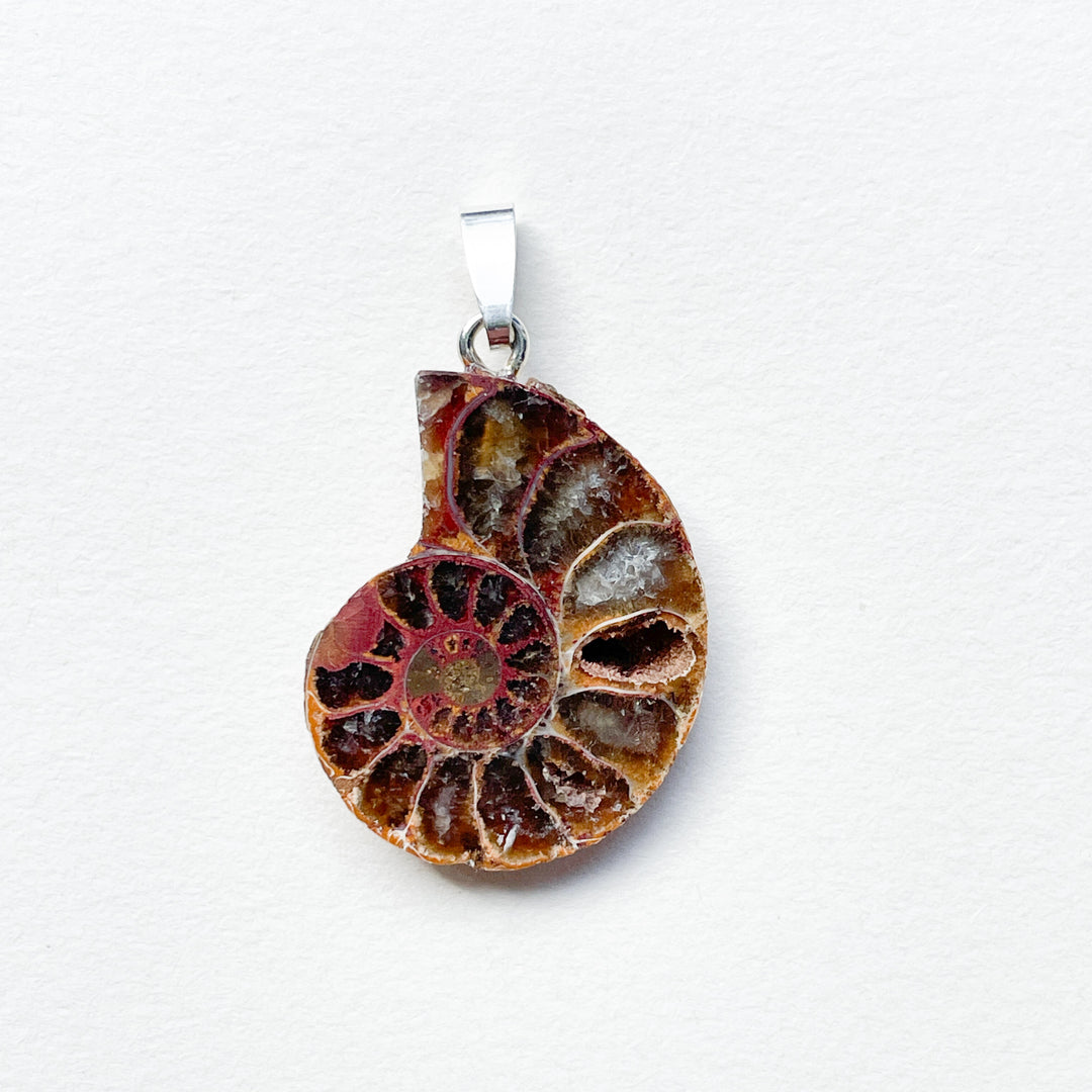 ammoniet edelsteen hanger edelsteenhanger juweel sieraad 925 sterling echt zilver