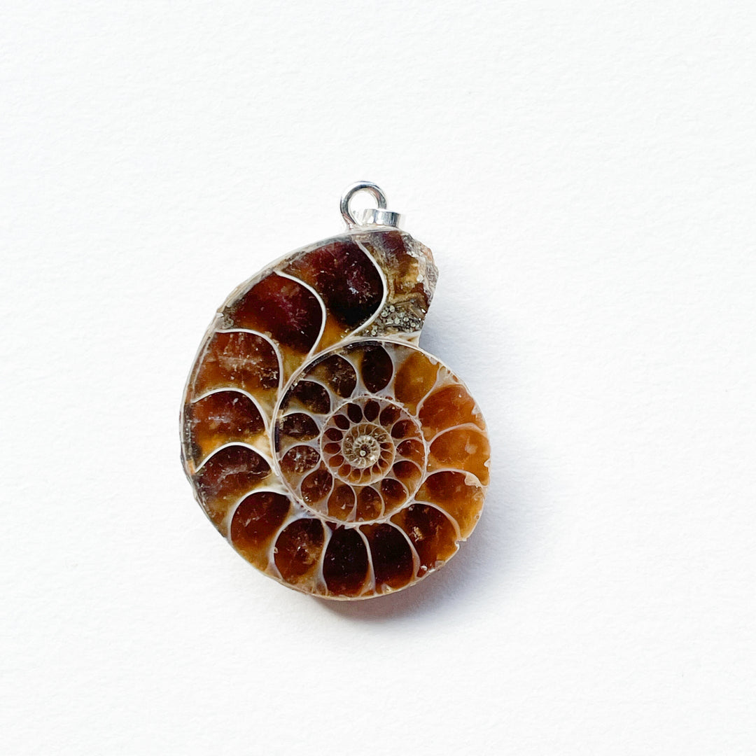 ammoniet edelsteen hanger edelsteenhanger juweel sieraad 925 sterling echt zilver