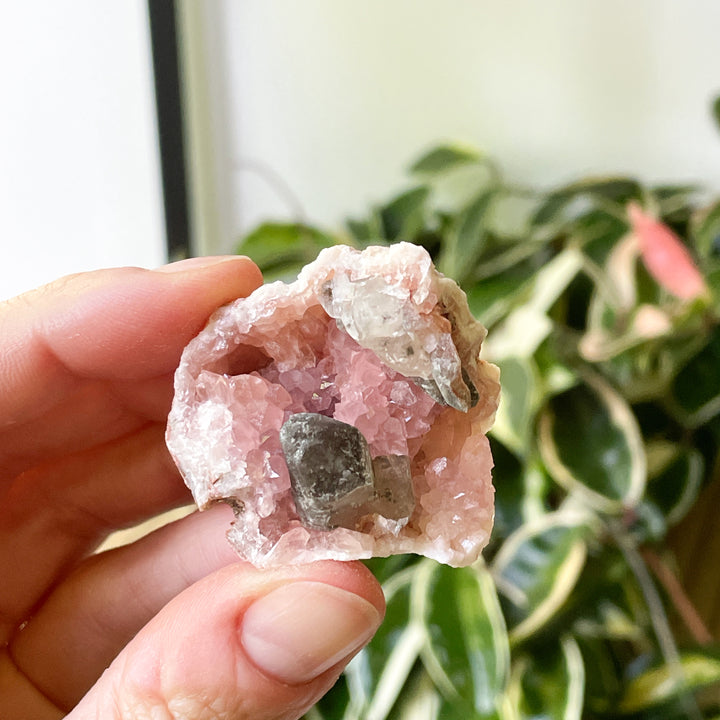 Roze amethist patagonie ruwe steen brok edelstenen mineralen 