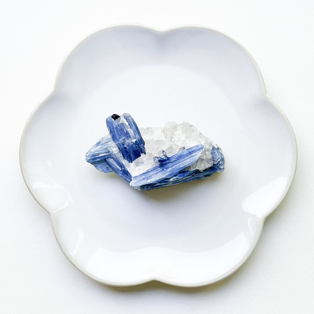 Kyaniet blauwe ruwe brok steen edelsteen mineraal