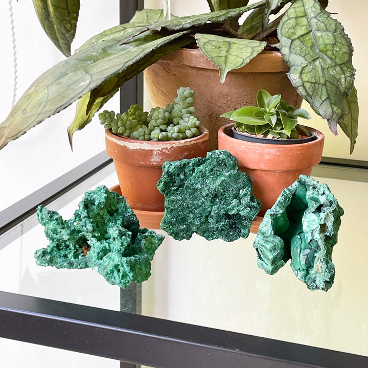 Malachiet boytrial fiber ruwe brok steen edelsteen mineraal kopen