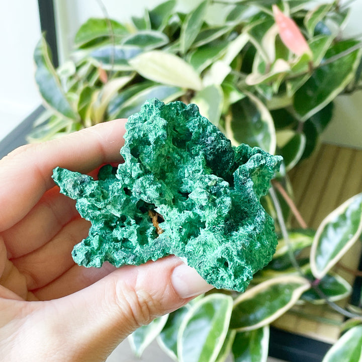 Malachiet boytrial fiber ruwe brok steen edelsteen mineraal kopen