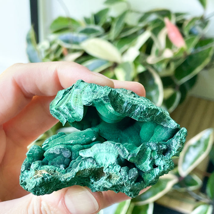 Malachiet boytrial fiber ruwe brok steen edelsteen mineraal kopen