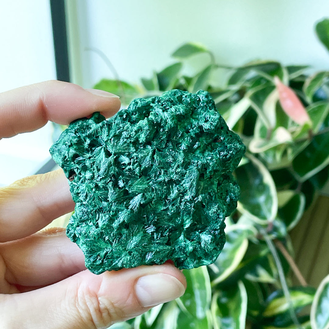 Malachiet boytrial fiber ruwe brok steen edelsteen mineraal kopen