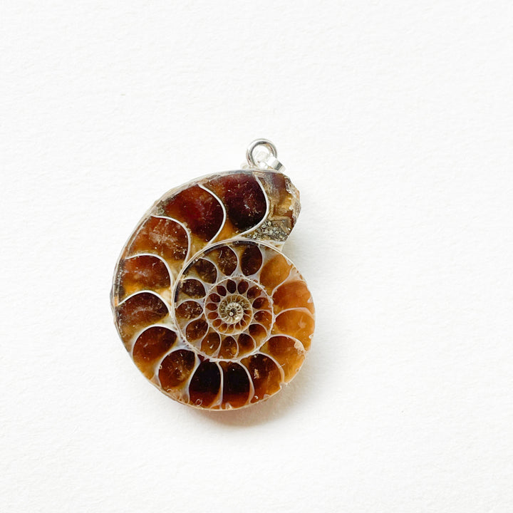 ammoniet edelsteen hanger edelsteenhanger juweel sieraad 925 sterling echt zilver