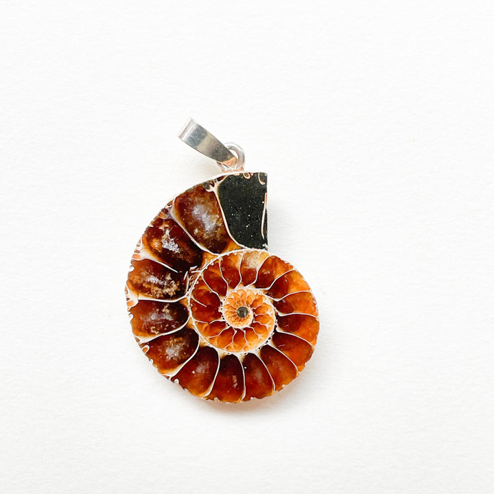 ammoniet edelsteen hanger edelsteenhanger juweel sieraad 925 sterling echt zilver