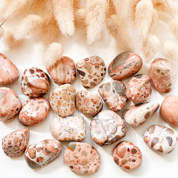 jaspis leopardiet beige knuffelsteen trommelsteen edelsteen edelstenen