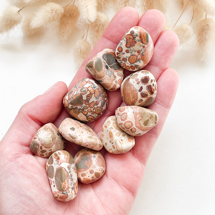 jaspis leopardiet beige knuffelsteen trommelsteen edelsteen edelstenen