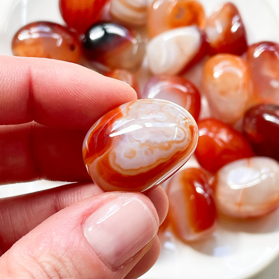 carneool rode oranje knuffelsteen trommelsteen edelsteen edelstenen